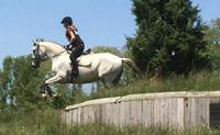Valaria KDW PRE Mare For Sale